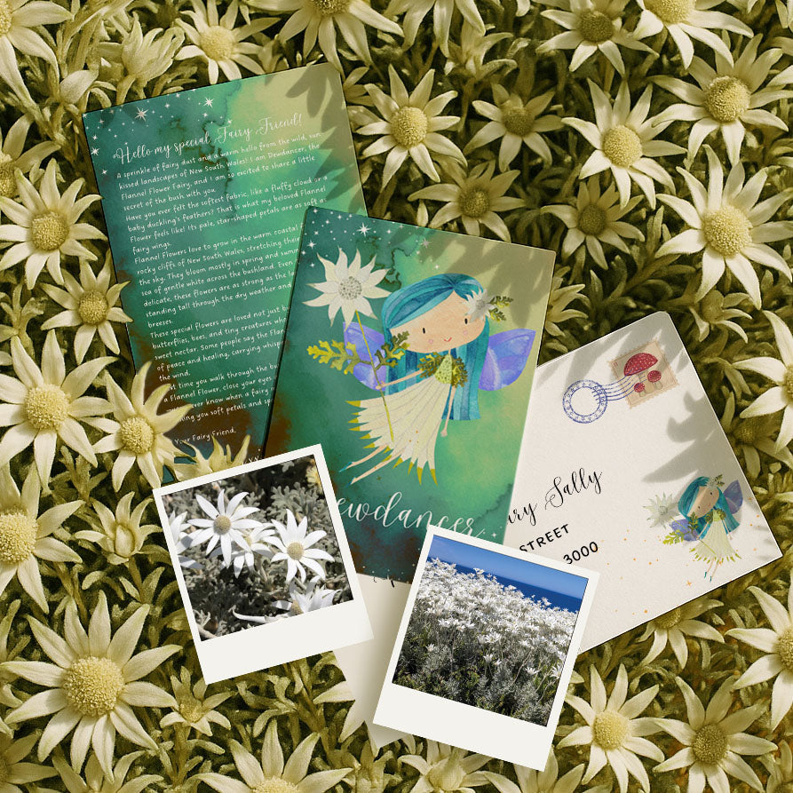 Fairy Mail - Dewdancer The Flannel Flower Fairy