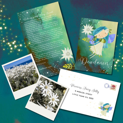 6 month Fairy Mail Subscription