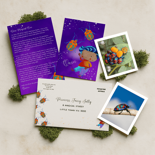 6 month Elf Mail Subscription - Fairy Mail
