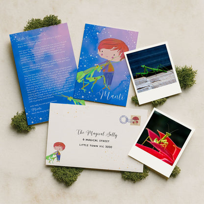 6 month Elf Mail Subscription Christmas Gift (Elf Mail subscription starts January) - Fairy Mail
