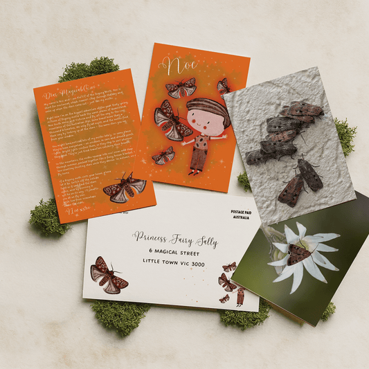 6 months of Elf Mail (6 Letters) - Fairy Mail