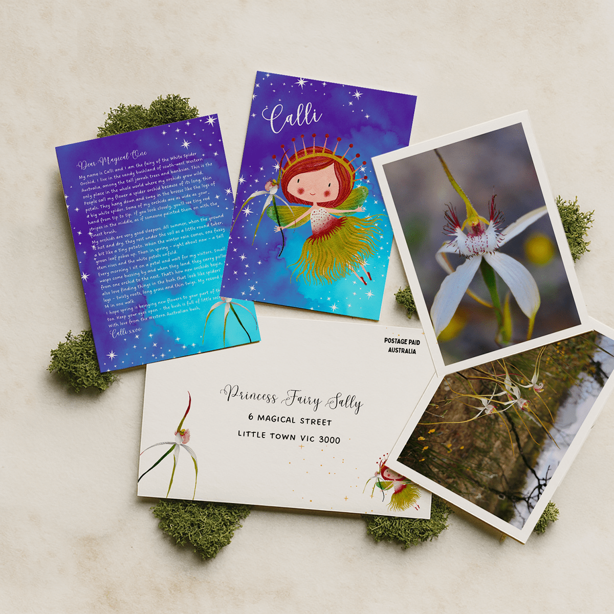 6 months of Fairy Mail (6 Letters) - Fairy Mail