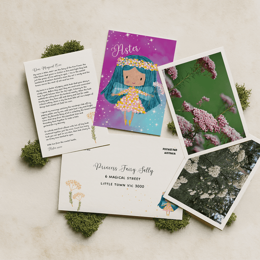 6 months of Fairy Mail (6 Letters) - Fairy Mail