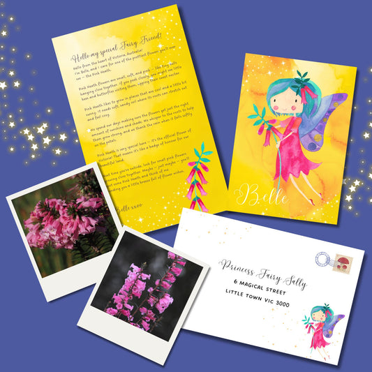 6 month Fairy Mail Subscription