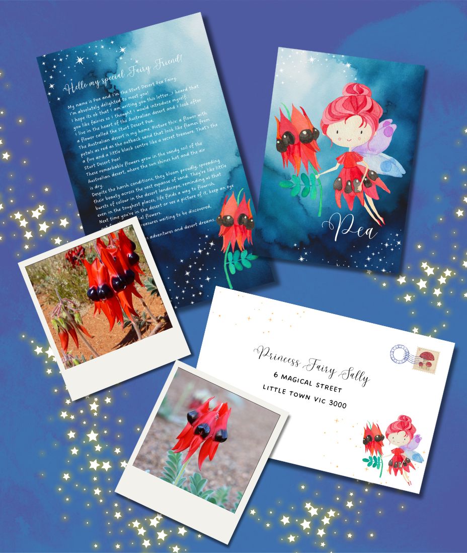 Fairy Mail Classic Christmas Bundle – Book + Card + 6 month Subscription - The Perfect Christmas Surprise! SAVE $40