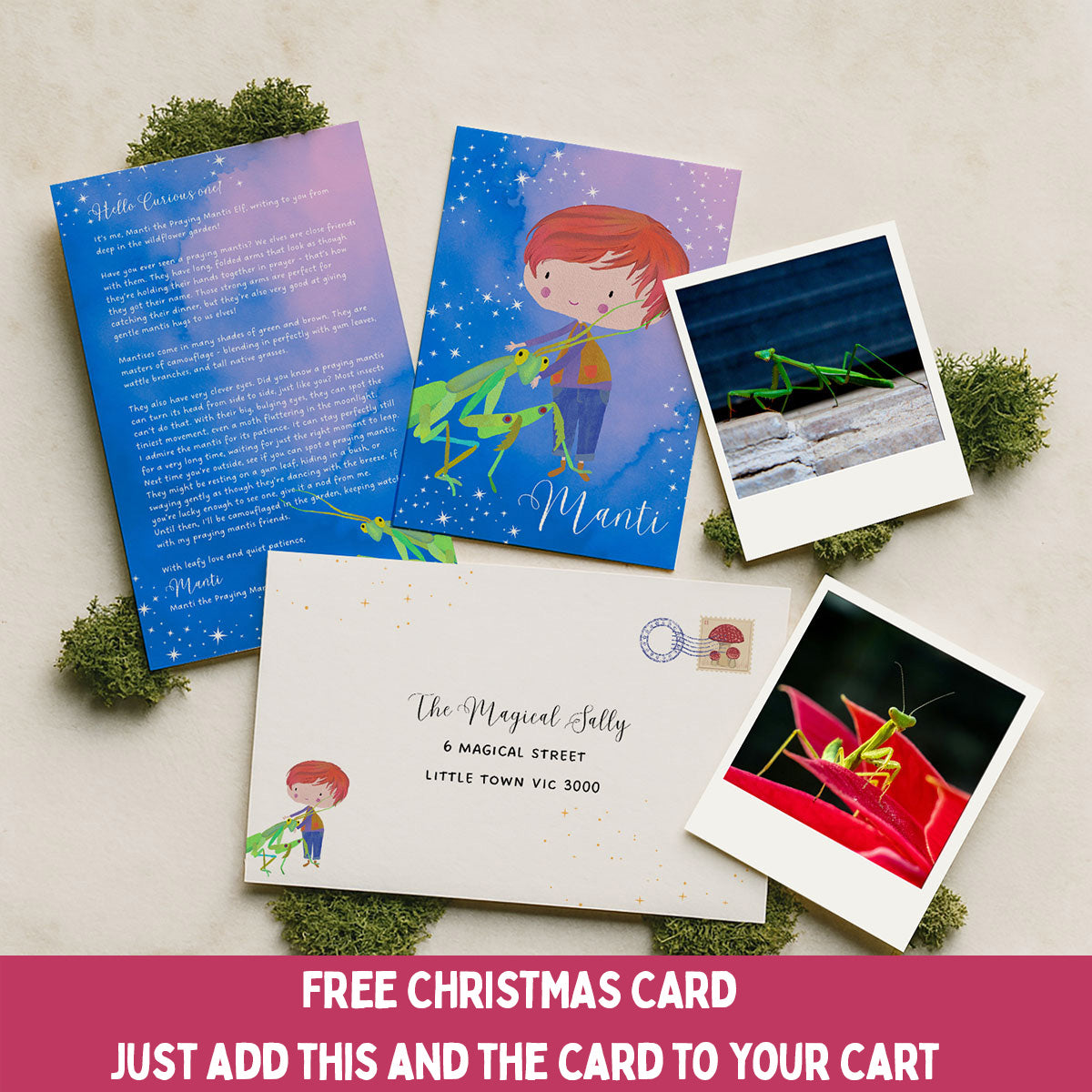 12 month Elf Mail Subscription Christmas Gift (Elf Mail subscription starts January)