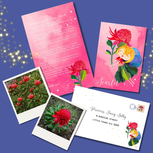 12 month Fairy Mail Subscription